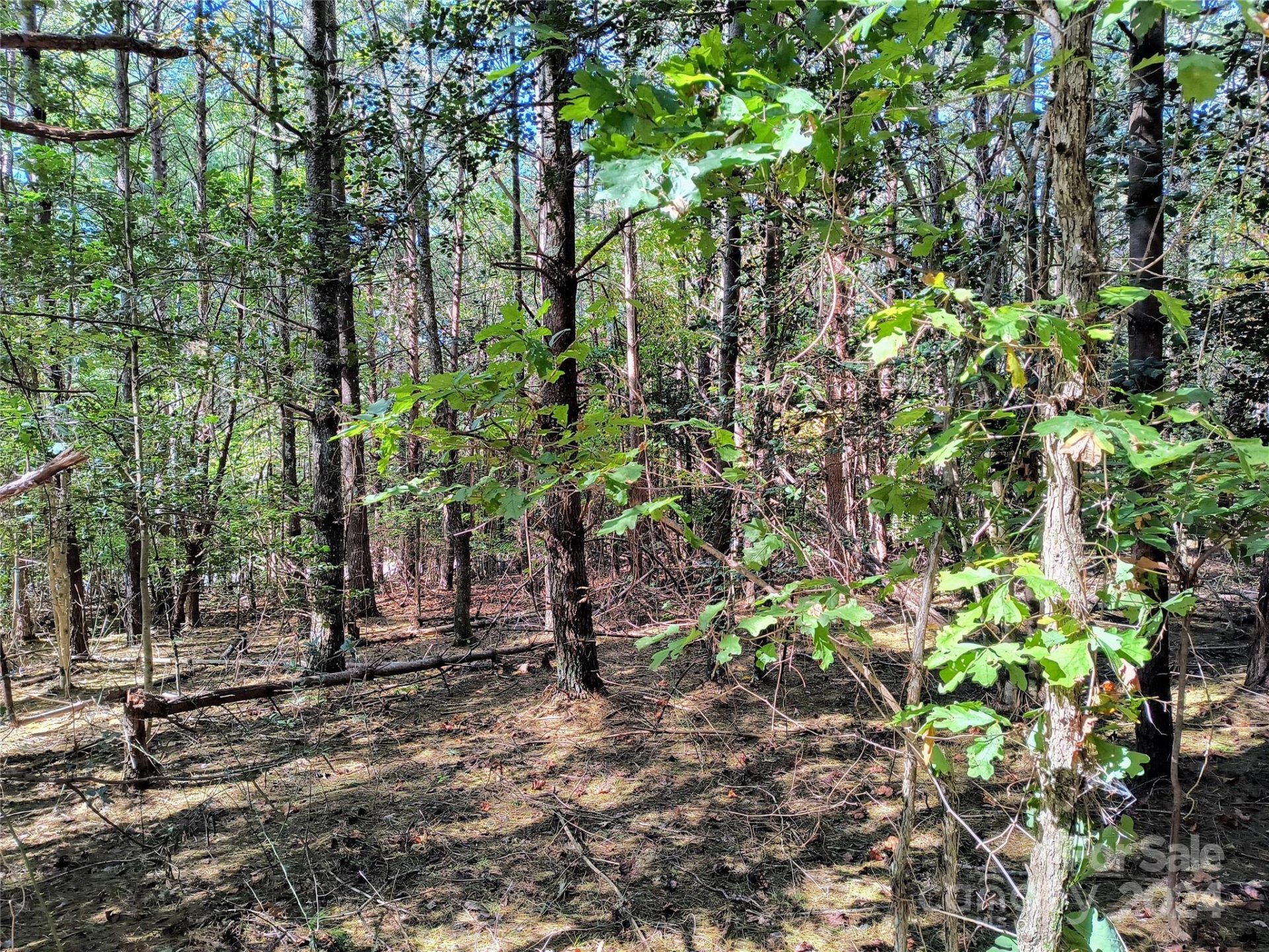 Property image 4 at 2177 Cottage Park Road, Morganton, NC 28655