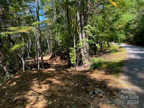 Property image 2 at Lot G 43 Odalu Trail, Maggie Valley, NC 28751