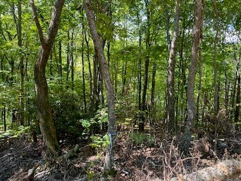 Property image 4 at Lot G 43 Odalu Trail, Maggie Valley, NC 28751