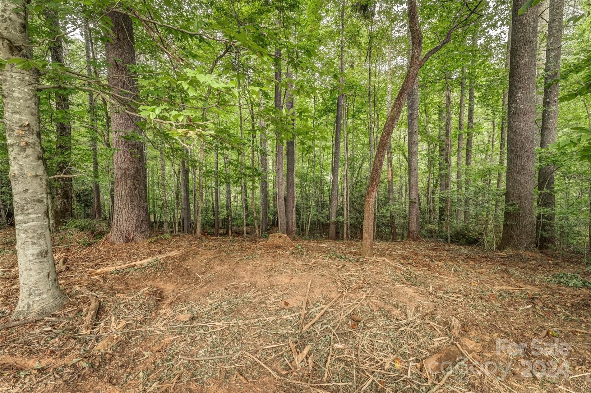 Property image 1 at Lot 42 Mountain Brook Trail, Brevard, NC 28712