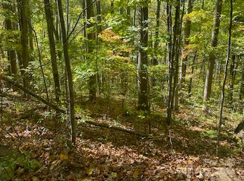 Property image 3 at Lot A 2 A 3 Giyuga Trail, Maggie Valley, NC 28751
