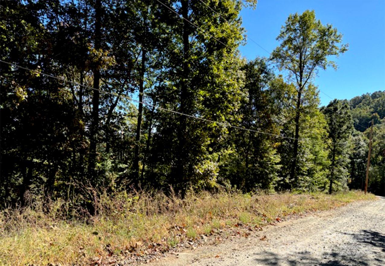 Property image 5 at 0 Hickory Nut Lane, Lake Lure, NC 28746