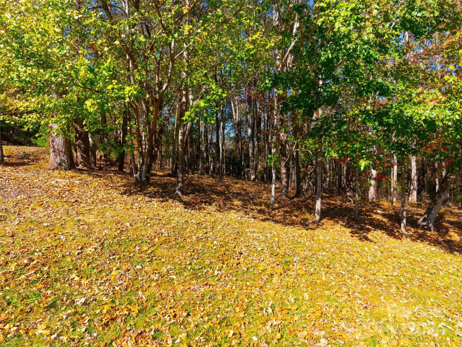 Property image 4 at 308 Piney Knoll Lane, Hendersonville, NC 28739
