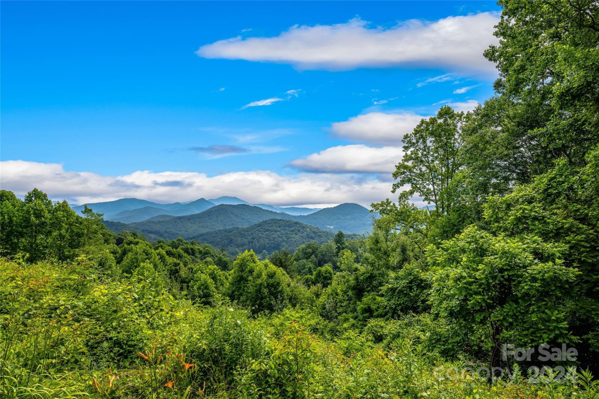 Property image 3 at 9999 Jubilee Way, Waynesville, NC 28785
