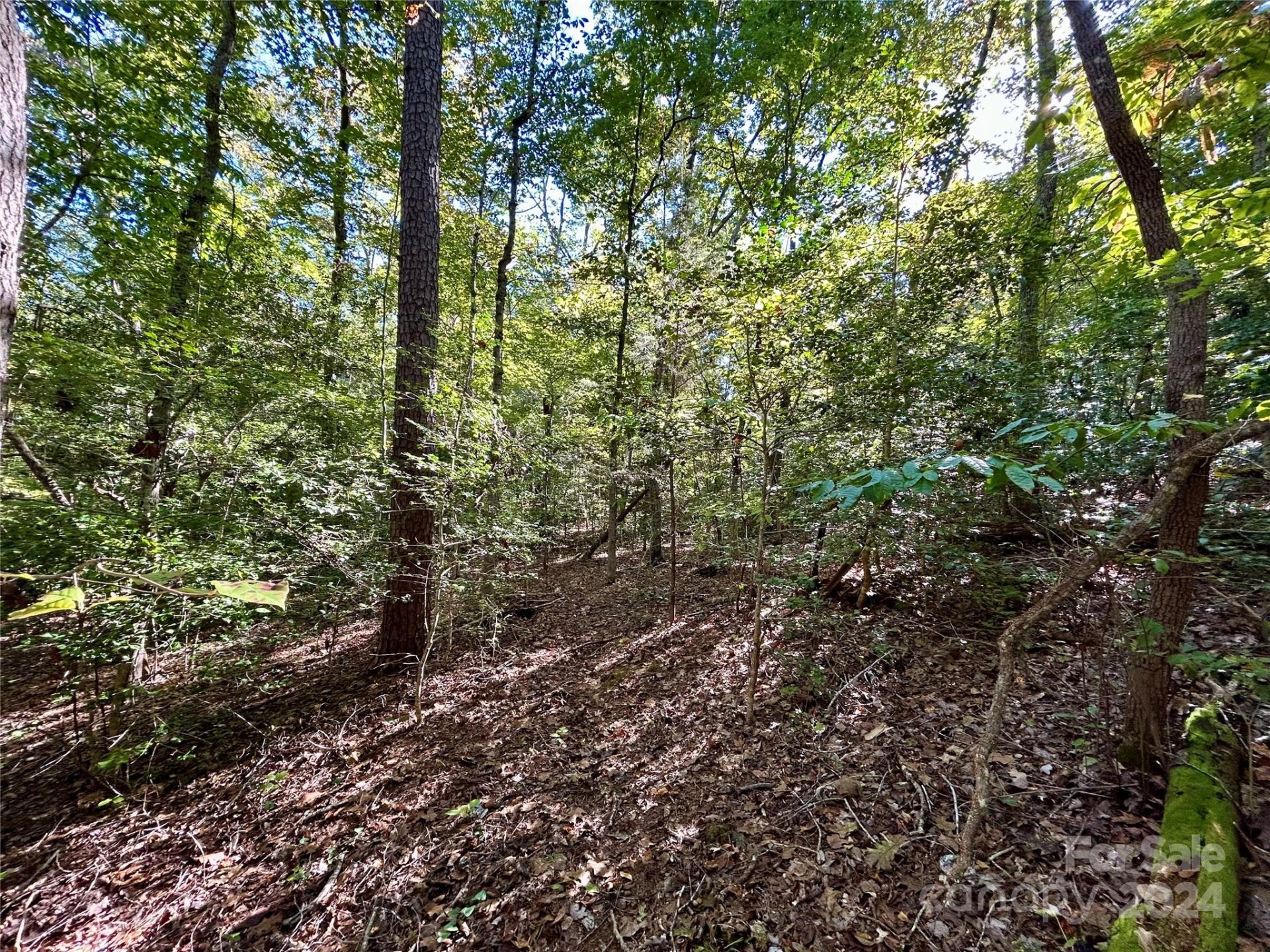 Property image 2 at Na Elderberry Lane, Troy, NC 27371