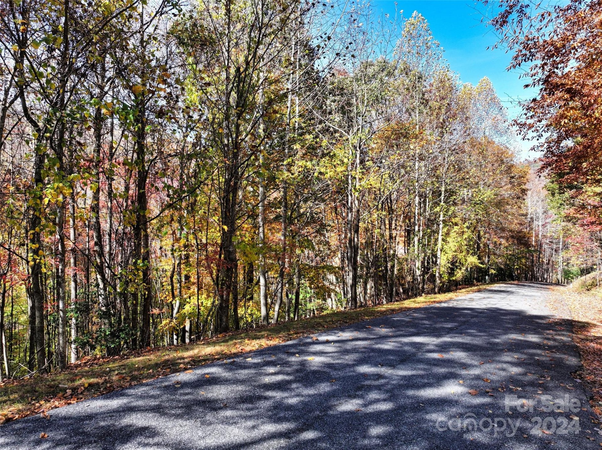 Property image 4 at 829 Stoney Stream Lane, Arden, NC 28704