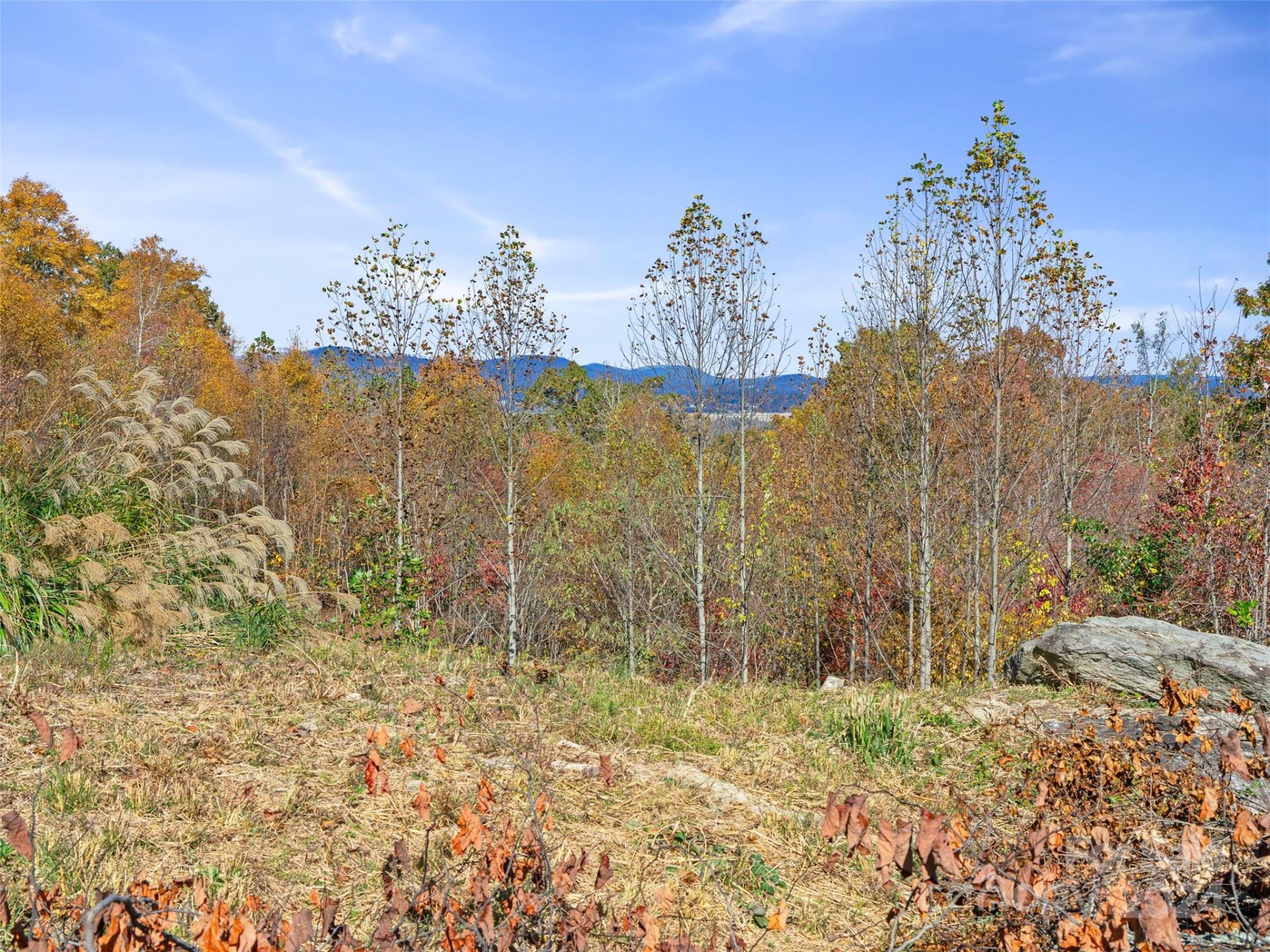 Property image 1 at 288 Millbrae Loop, Hendersonville, NC 28791