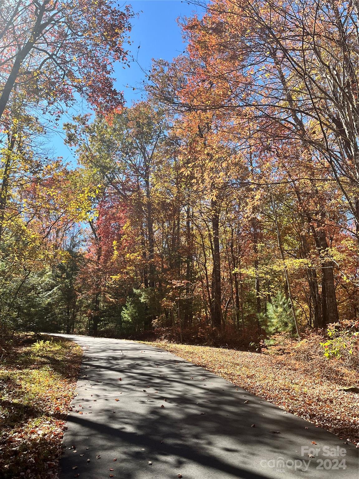 Property image 1 at L011 Frazier Road, Brevard, NC 28712