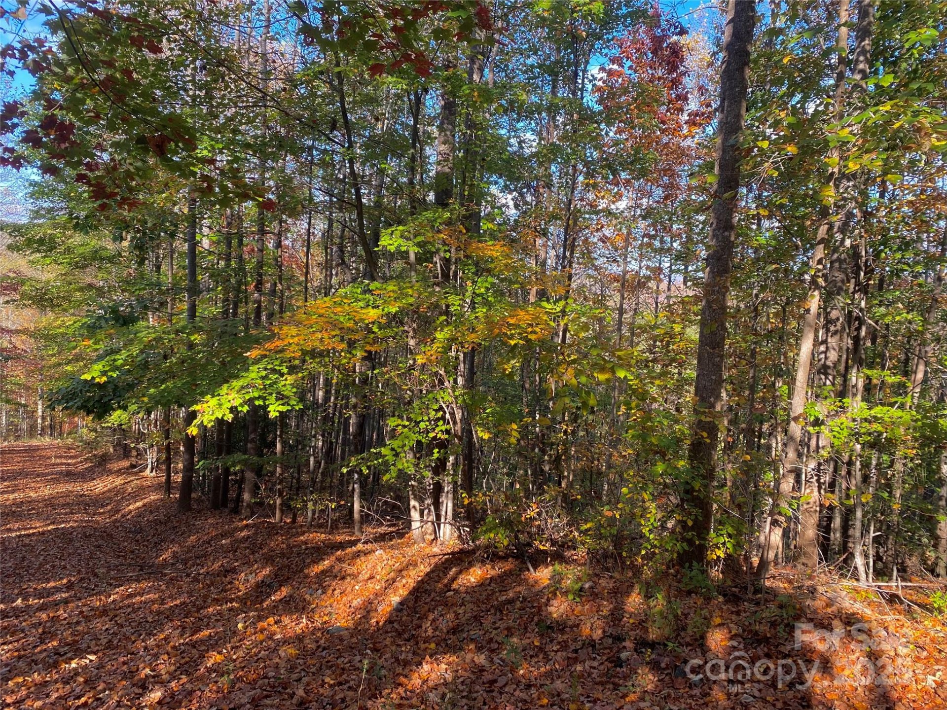 Property image 1 at V L Jeremy Drive, Nebo, NC 28761