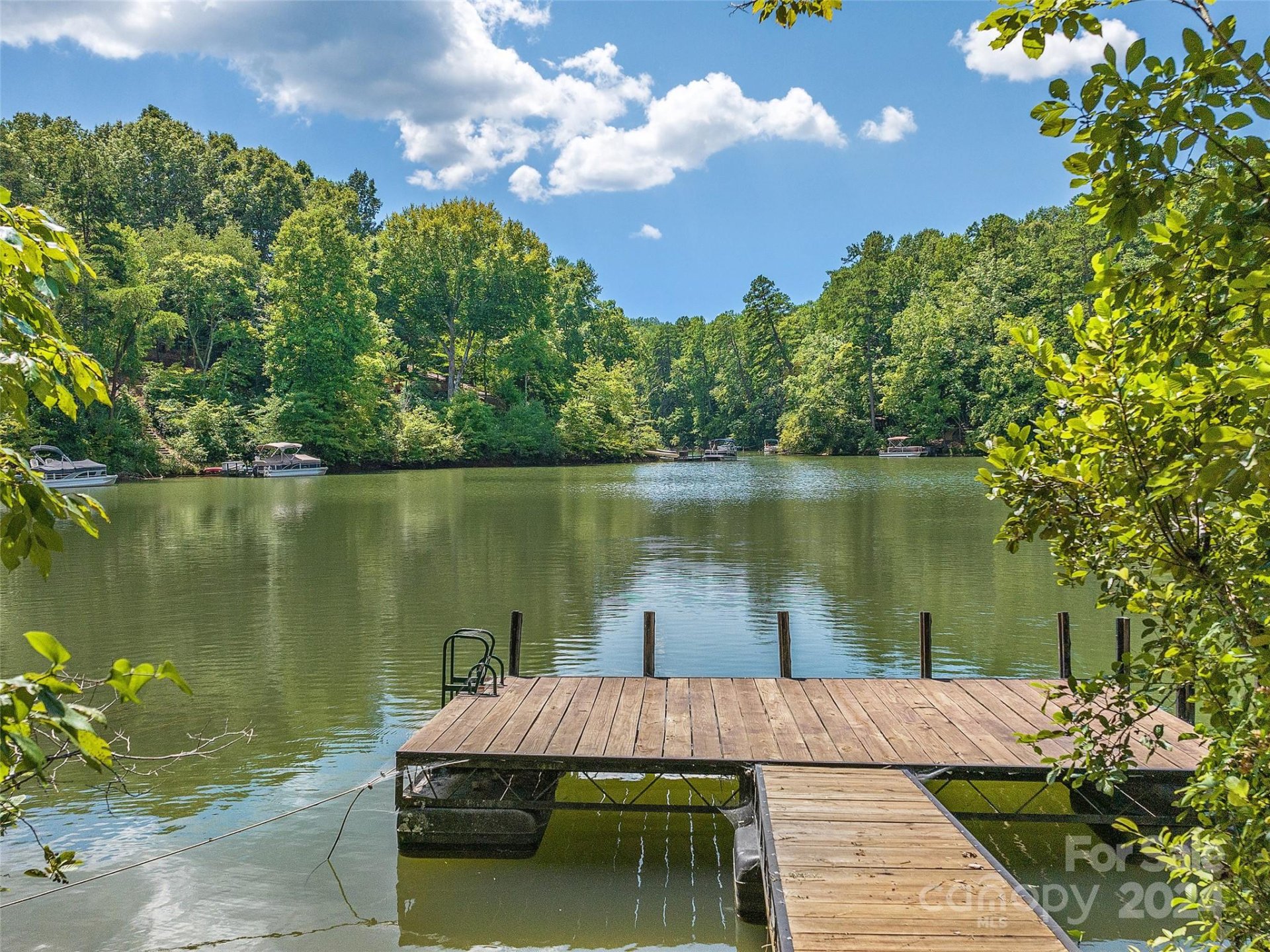 Property image 4 at 000 South Cove Road, Mill Spring, NC 28756