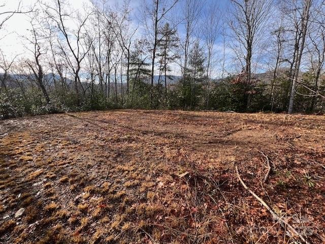 Property at Lot 2 Tobacco Branch Road, Almond, NC 28702