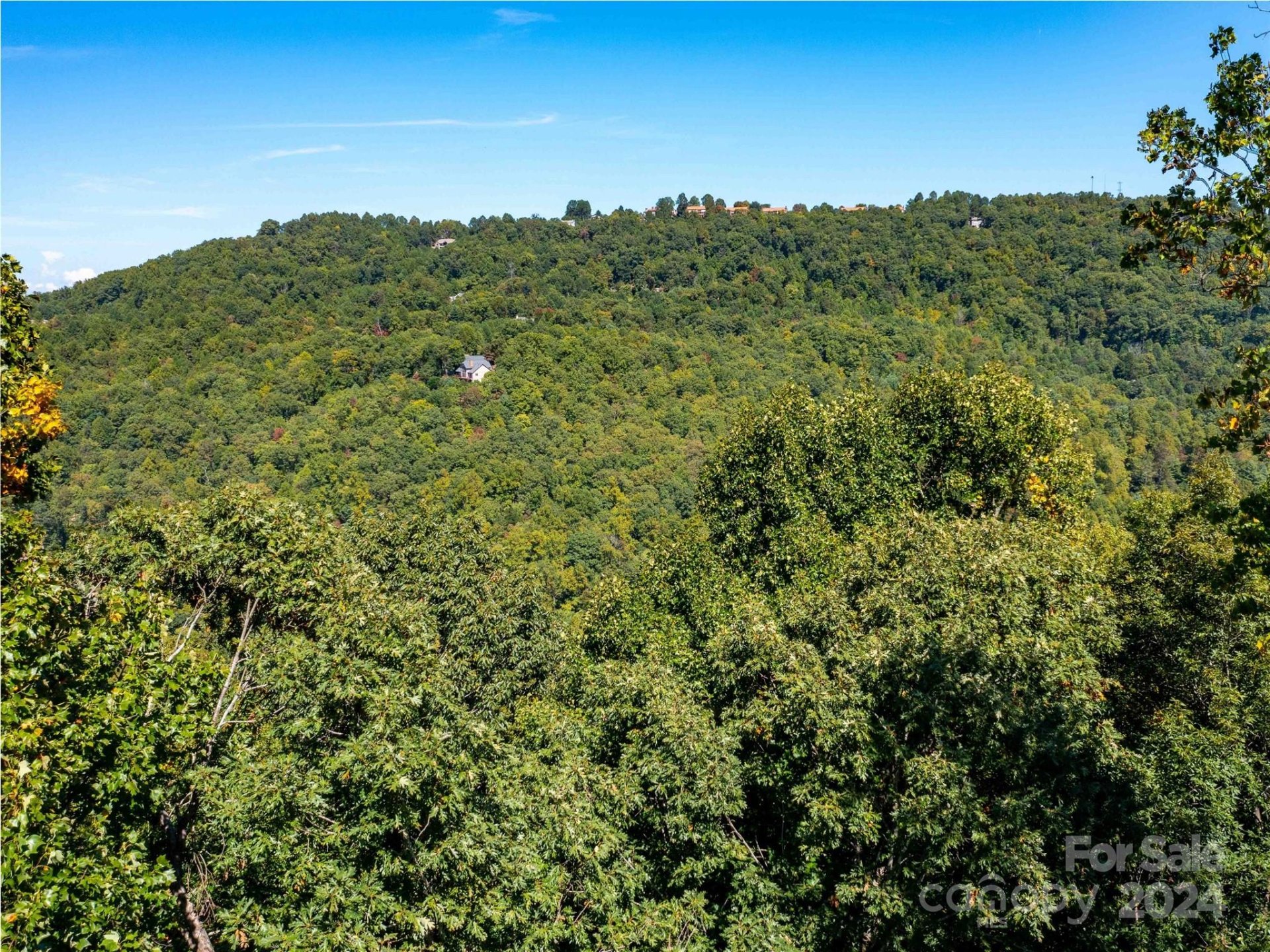 Property image 4 at 0 Solomon Circle, Hendersonville, NC 28739