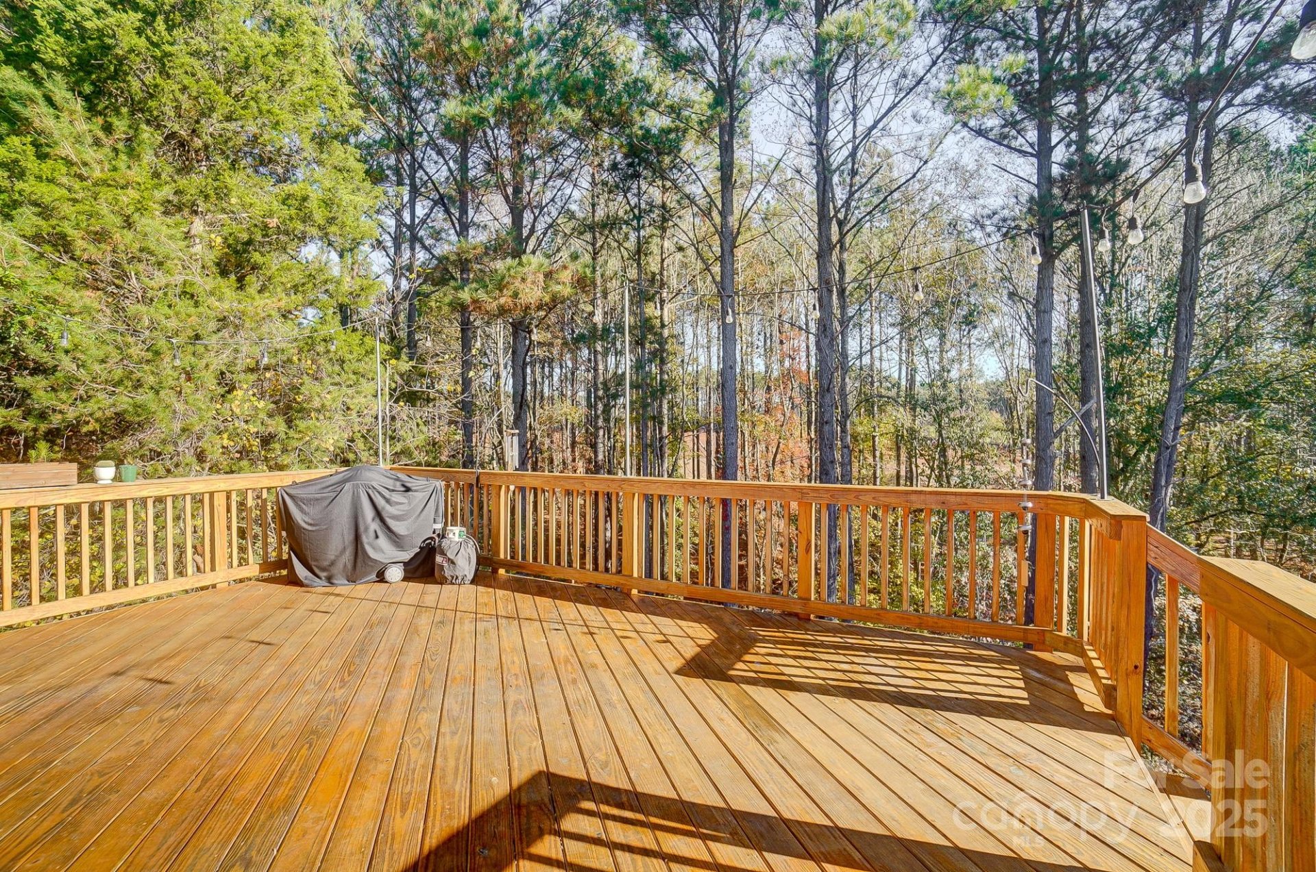 Property image 3 at 25622 Seagull Drive, Lancaster, SC 29720