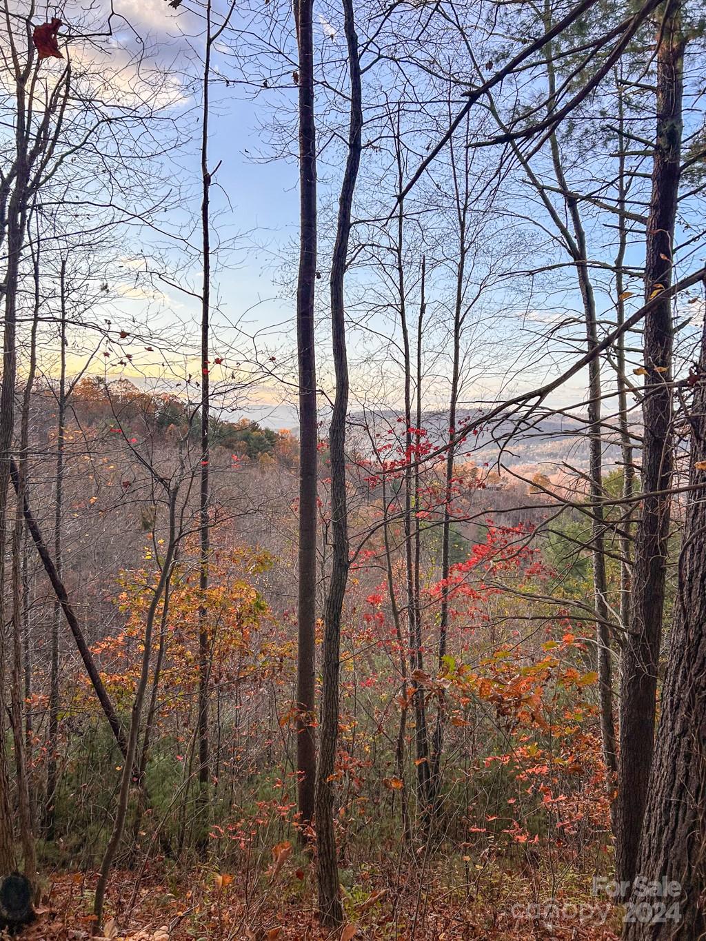 Town Mountain Preserve, Asheville Community