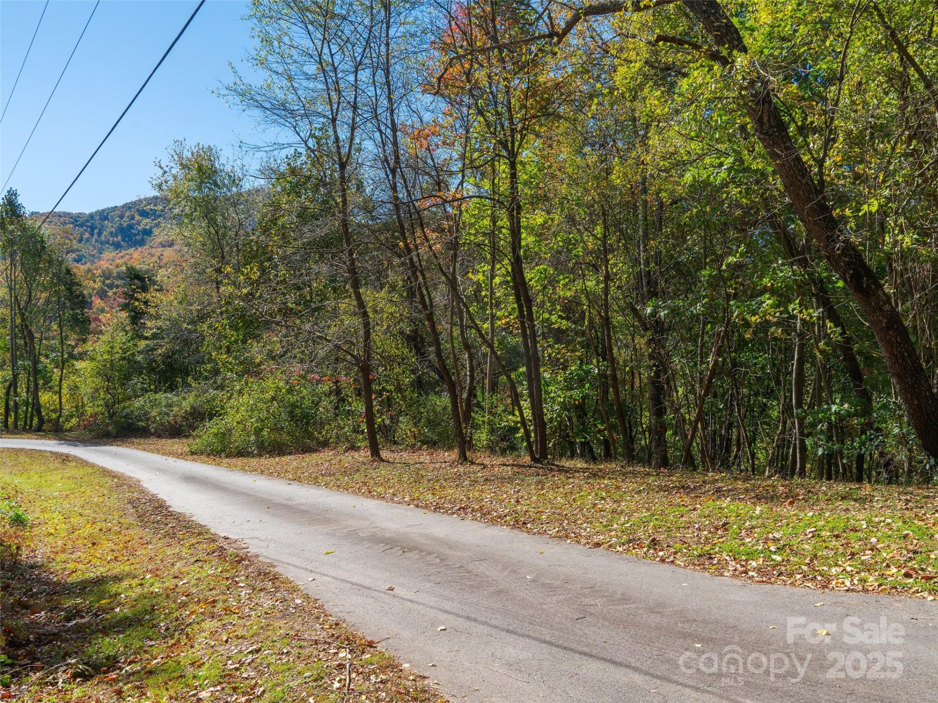 Property image 3 at 9999 Lovebird Lane, Candler, NC 28715