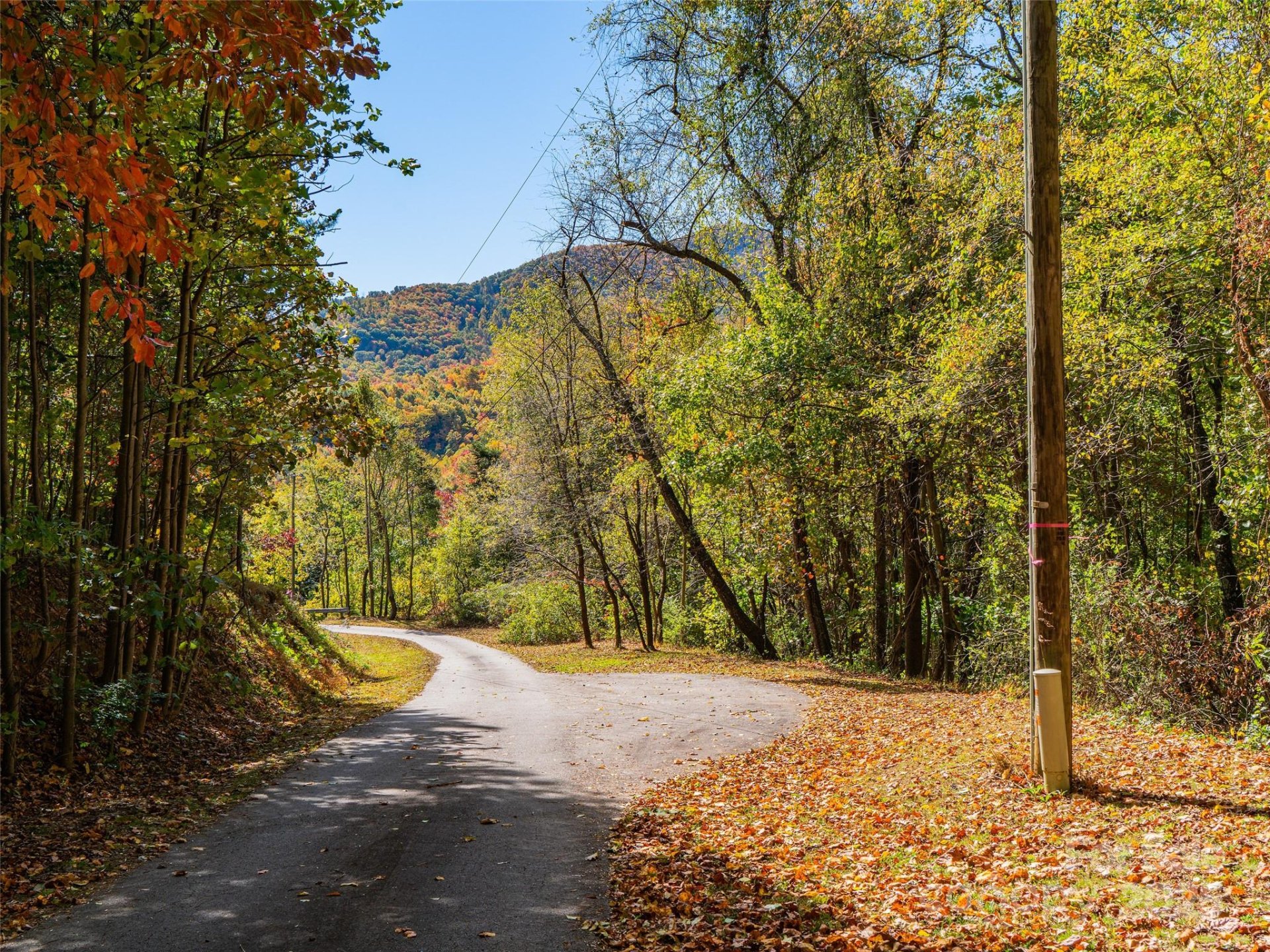 Property image 4 at 9999 Lovebird Lane, Candler, NC 28715
