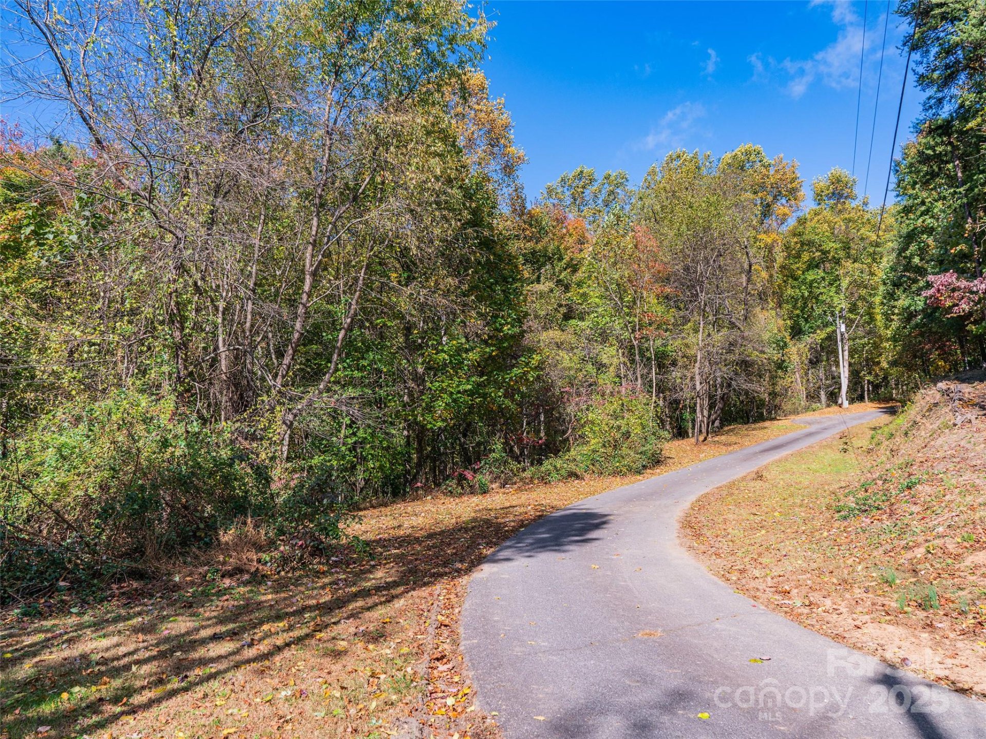 Property image 5 at 9999 Lovebird Lane, Candler, NC 28715