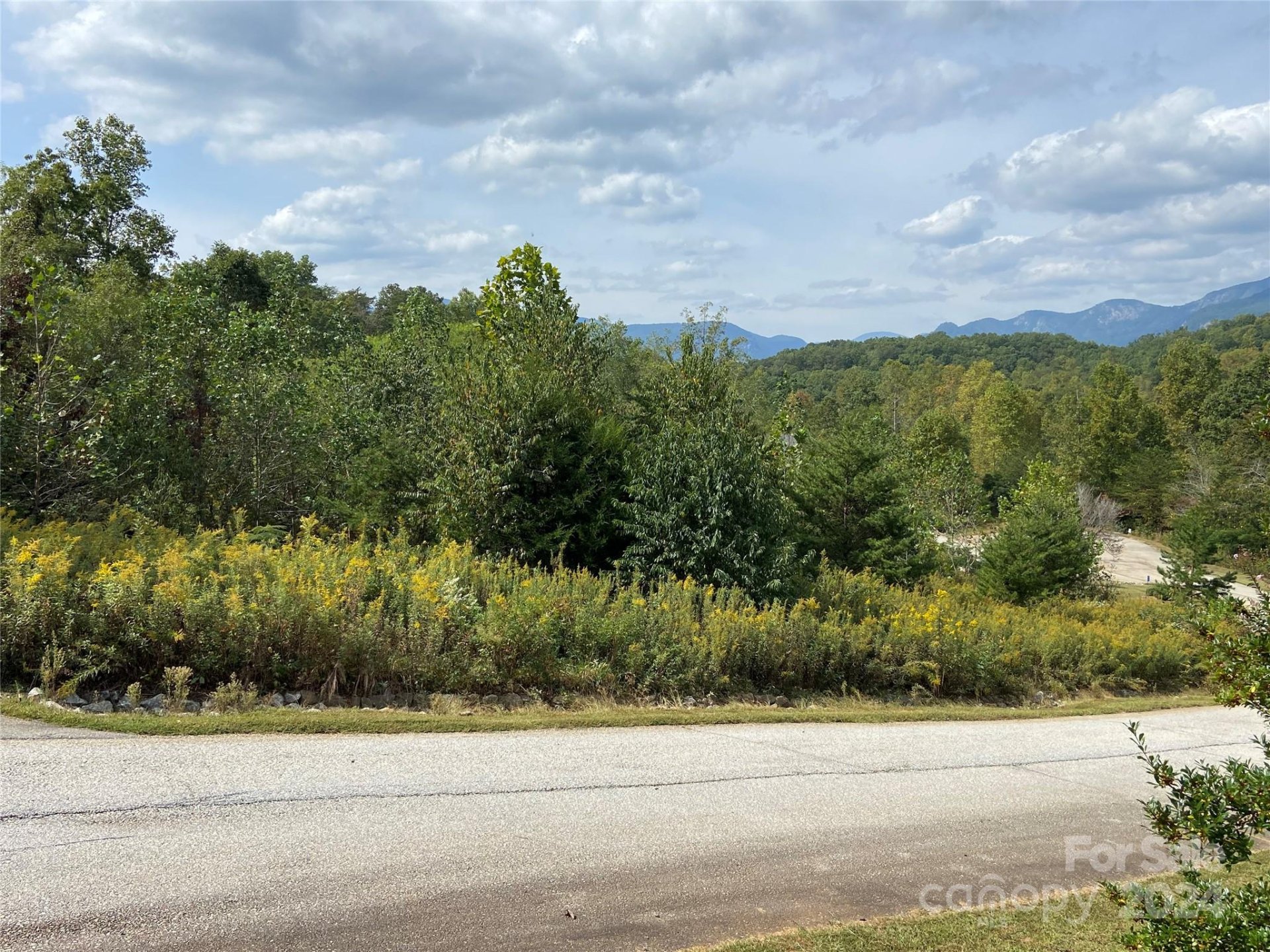 Property image 2 at 0 Willow Top Lane, Lake Lure, NC 28746