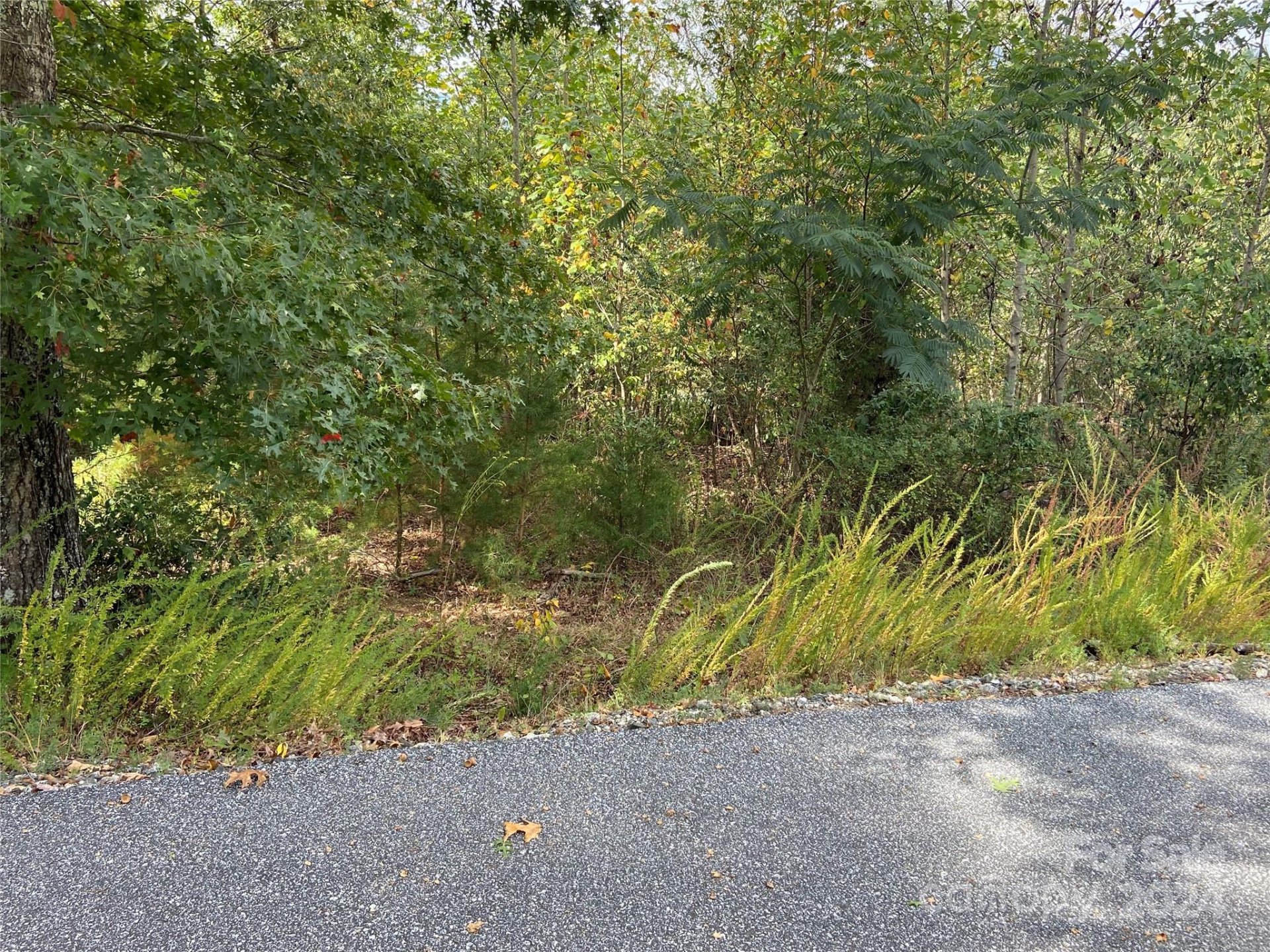 Property image 4 at 0 Willow Top Lane, Lake Lure, NC 28746