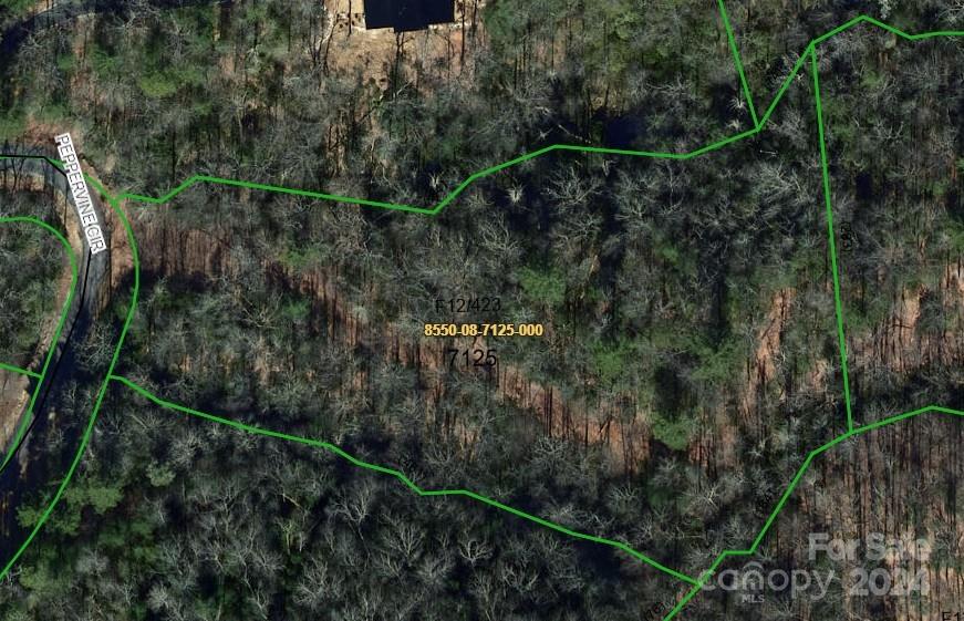 Property image 1 at Lot 84 Peppervine Circle, Brevard, NC 28712