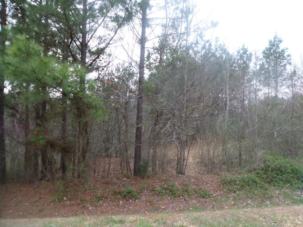 Property image 1 at 5045 Stockbridge Drive, Mount Holly, NC 28120