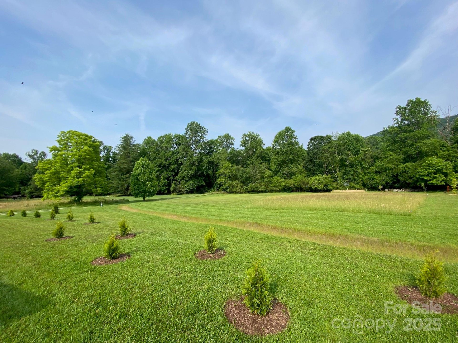 Property image 2 at 9999 Hunters Ridge Drive, Mills River, NC 28759