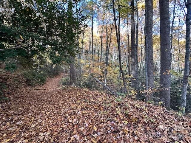 Property image 5 at 124 125 Large Poplar Trail, Waynesville, NC 28785