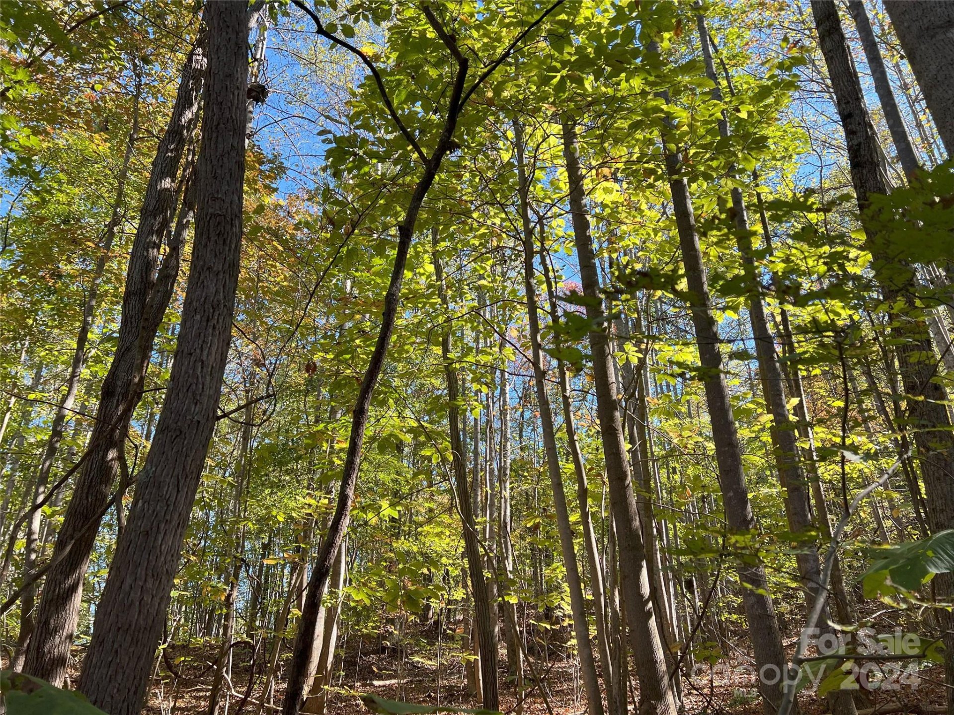 Property image 1 at Tbd Brindlewood Drive, Nebo, NC 28761