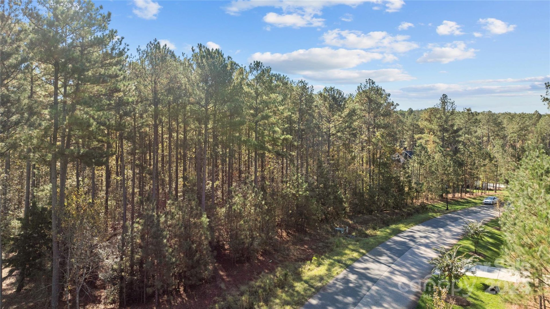 4121 Persimmon Road