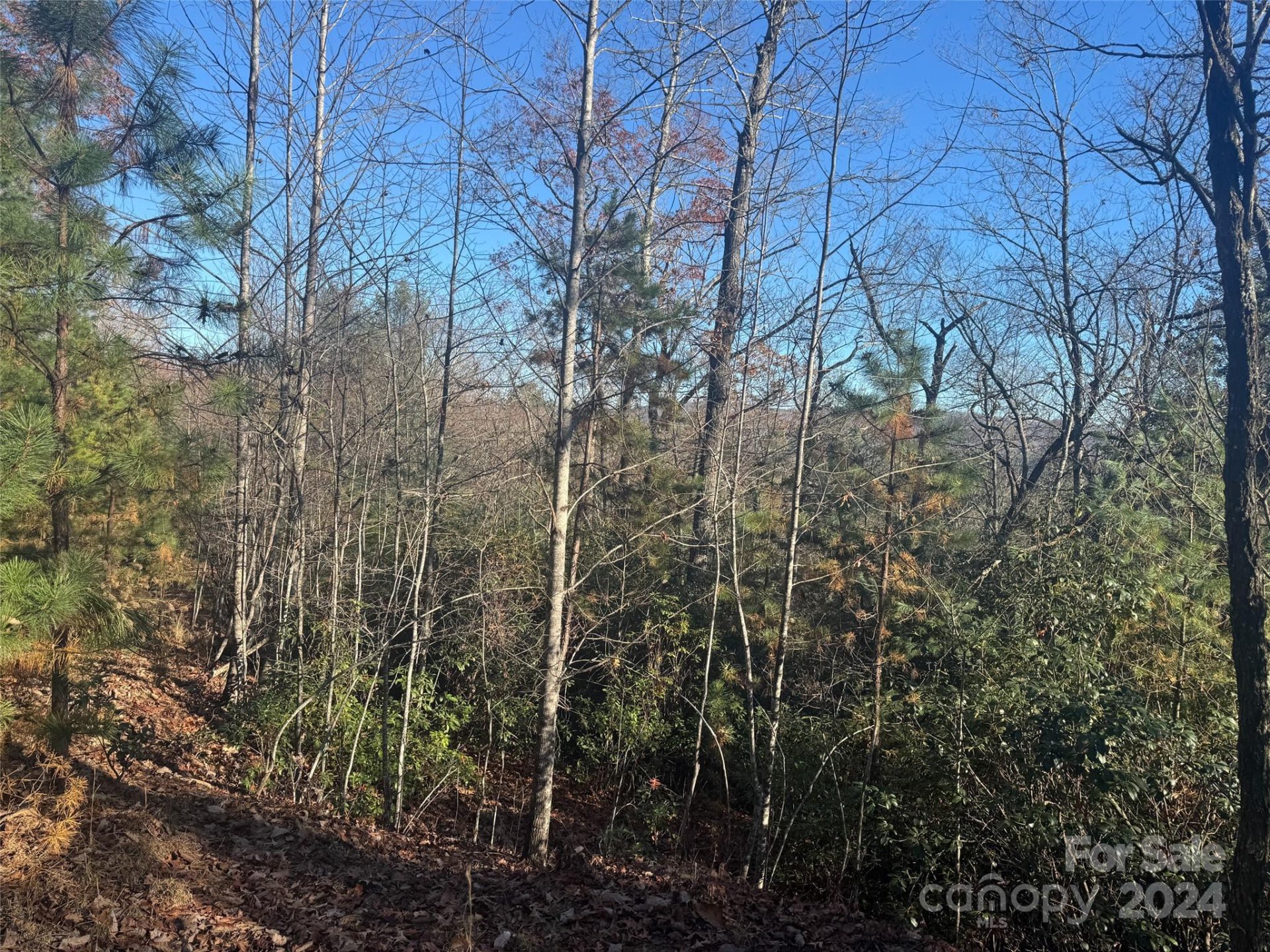 Property image 1 at 14 Spring House Trail, Brevard, NC 28712