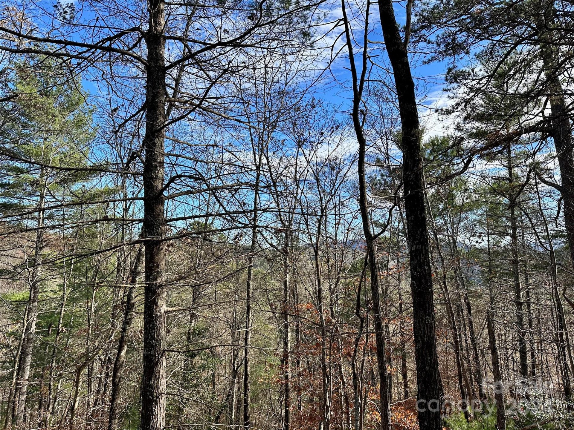 Property at 625 White Water Way, Marshall, NC 28753