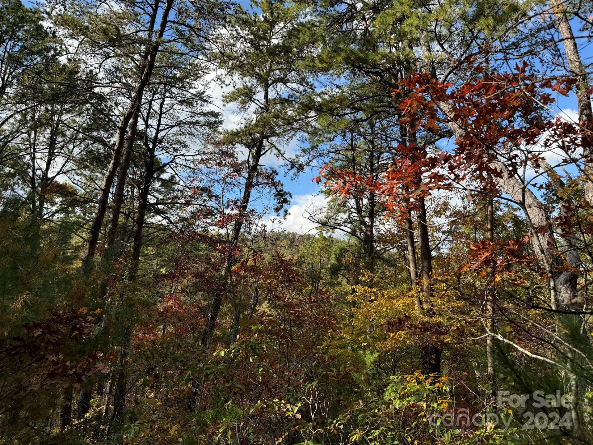 Property image 2 at 44 Boulder Ridge, Lake Lure, NC 28746