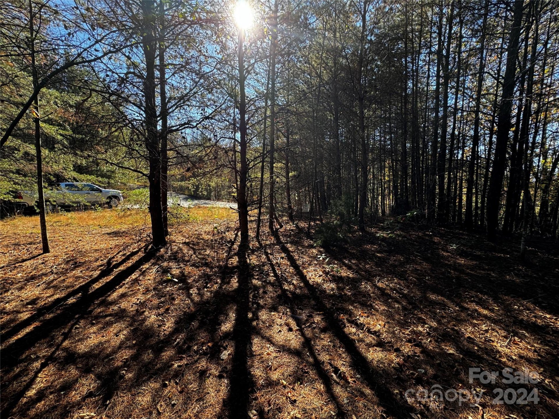 Property image 4 at 44 Boulder Ridge, Lake Lure, NC 28746