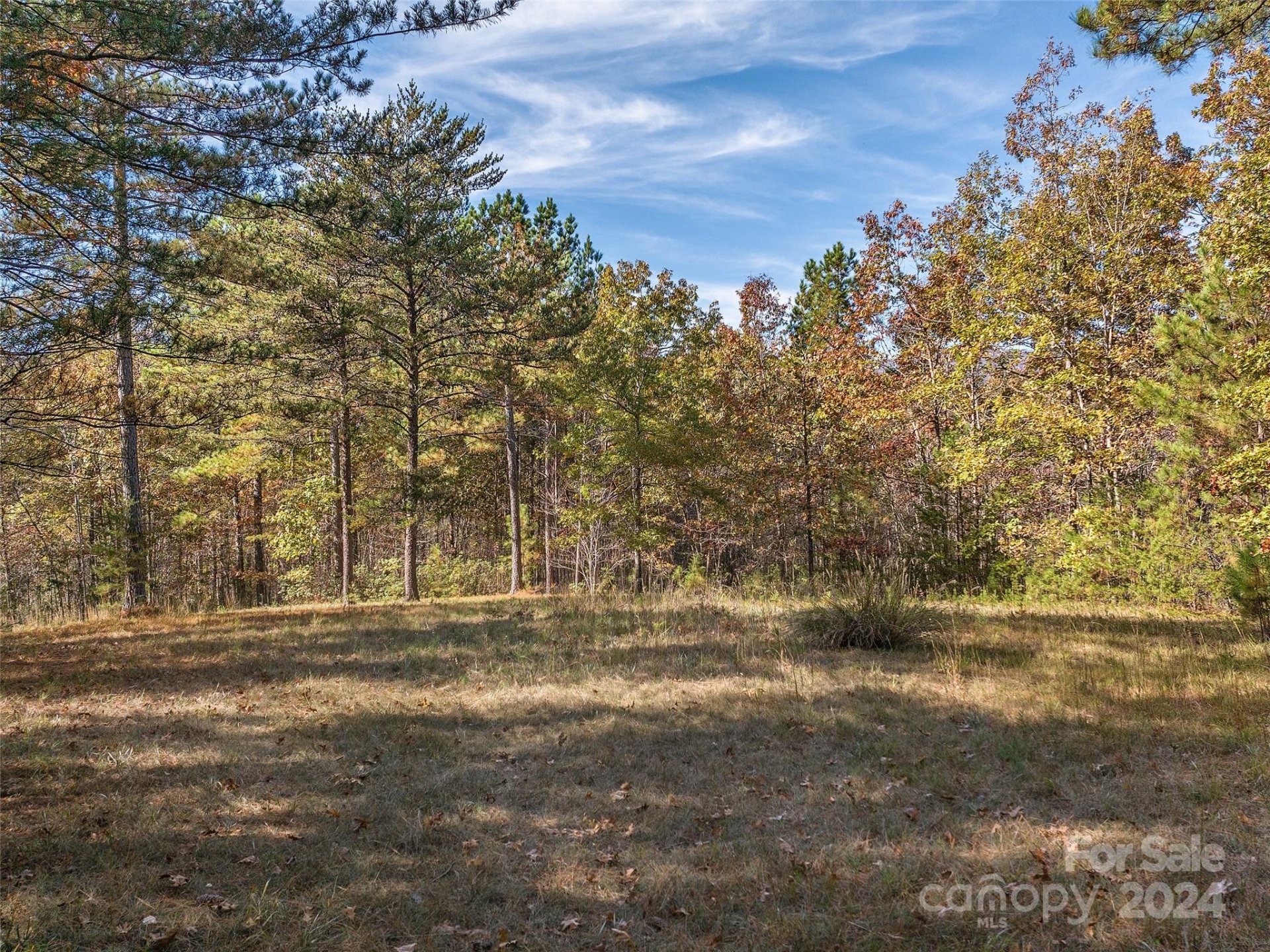 Property image 2 at 00 River Park Lane, Mill Spring, NC 28756