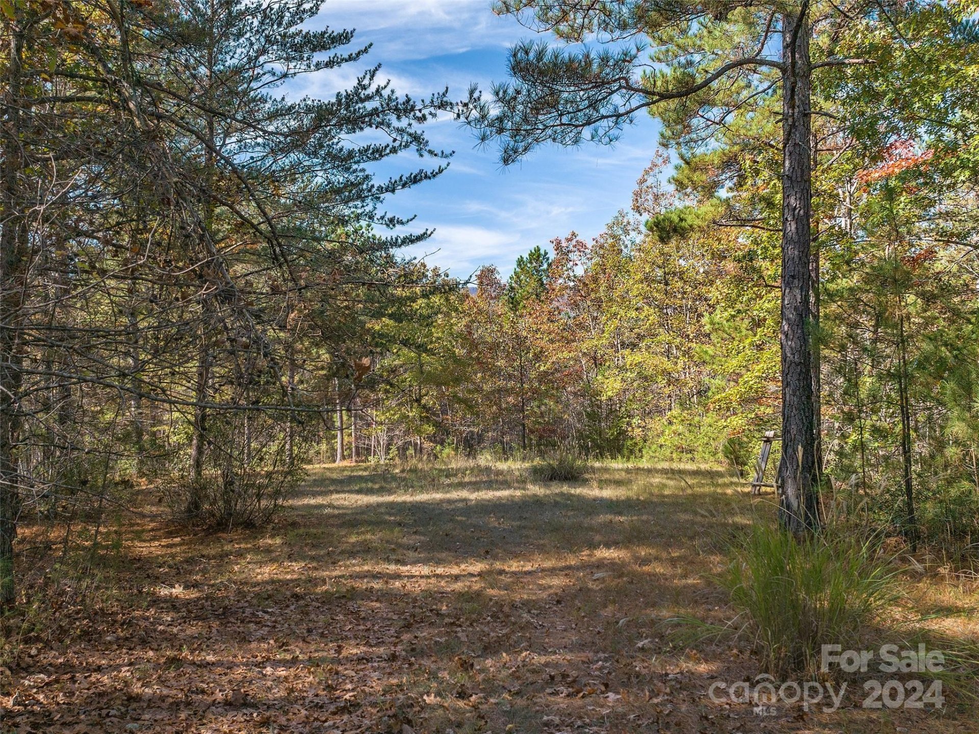 Property image 3 at 00 River Park Lane, Mill Spring, NC 28756