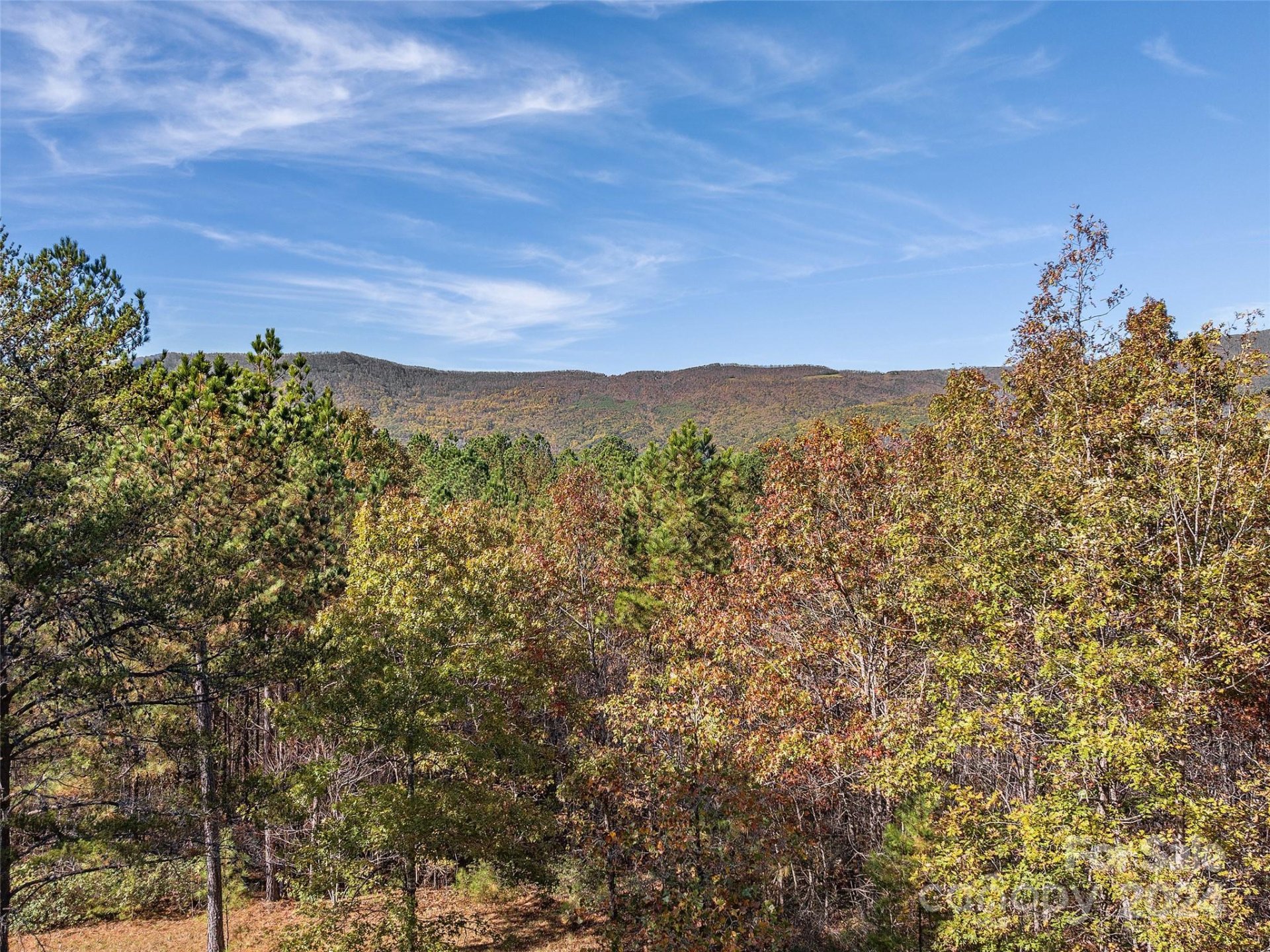 Property image 5 at 00 River Park Lane, Mill Spring, NC 28756
