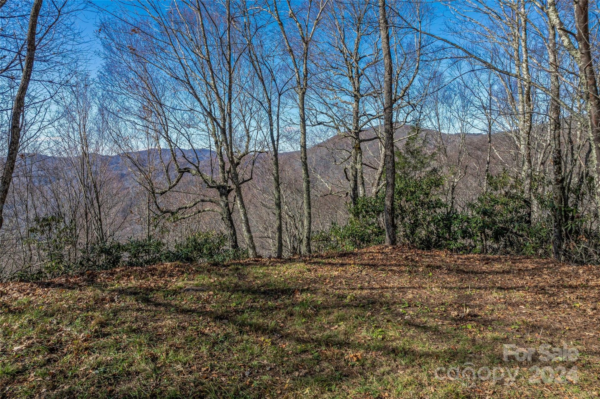 Property image 3 at 999 Braves Knob Road, Maggie Valley, NC 28751