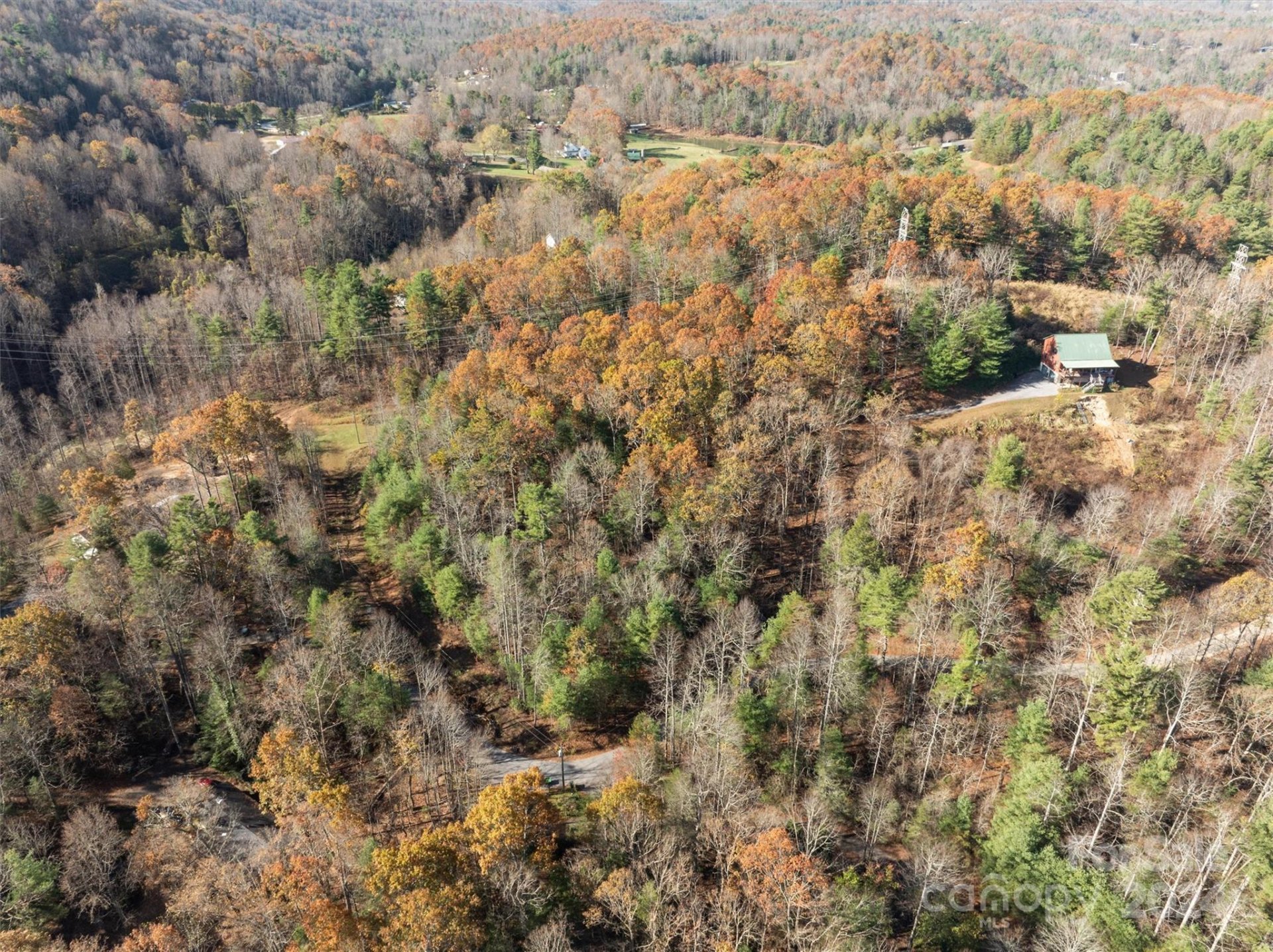 Property image 4 at 99999 Big Raven Lane, Saluda, NC 28773
