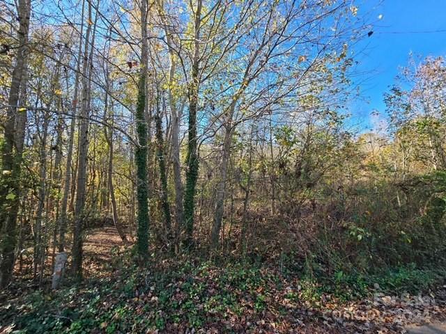 Lot 65 Seminole Drive