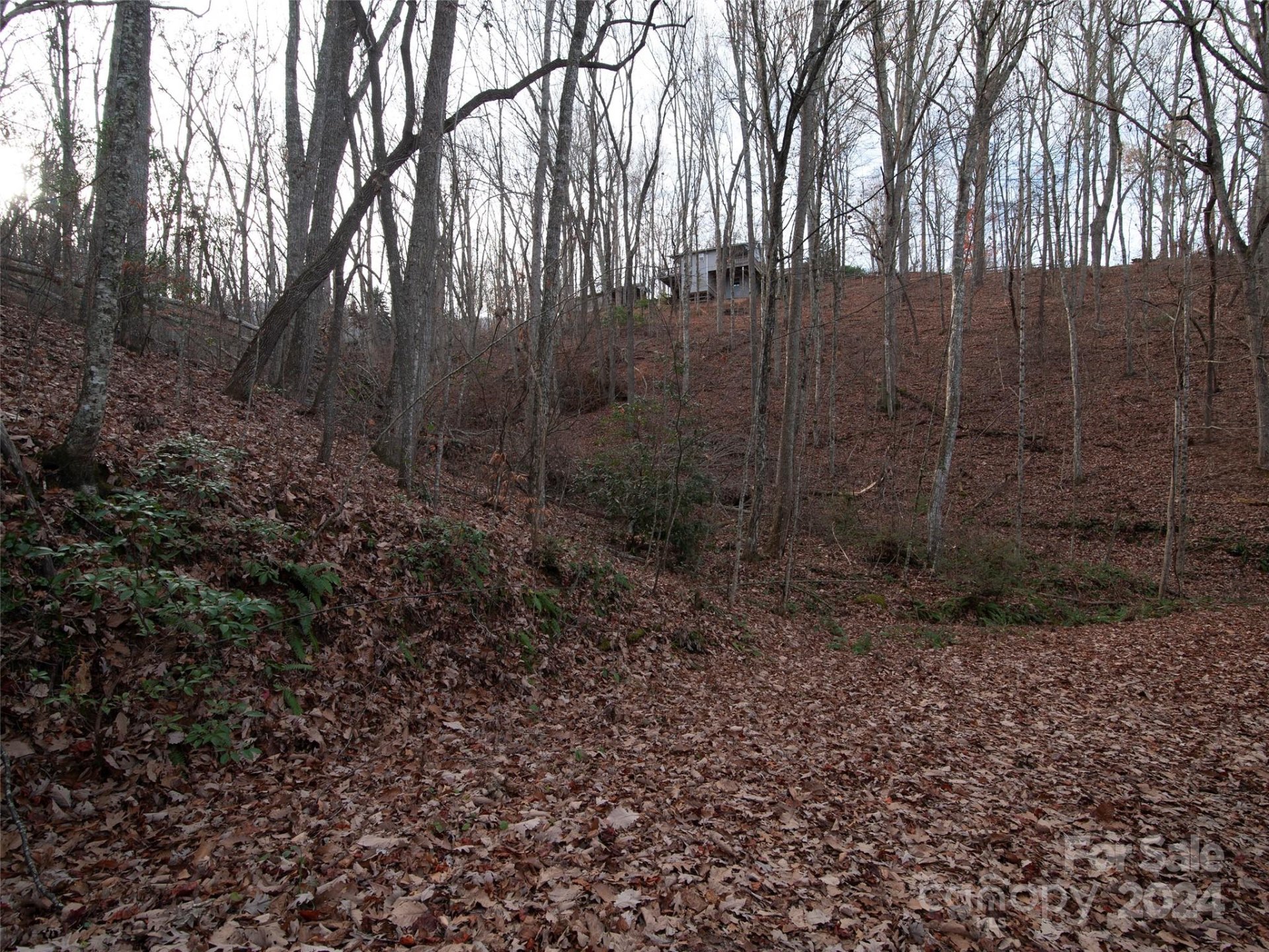 Property image 2 at 000 Beacon Rock Lane, Waynesville, NC 28786