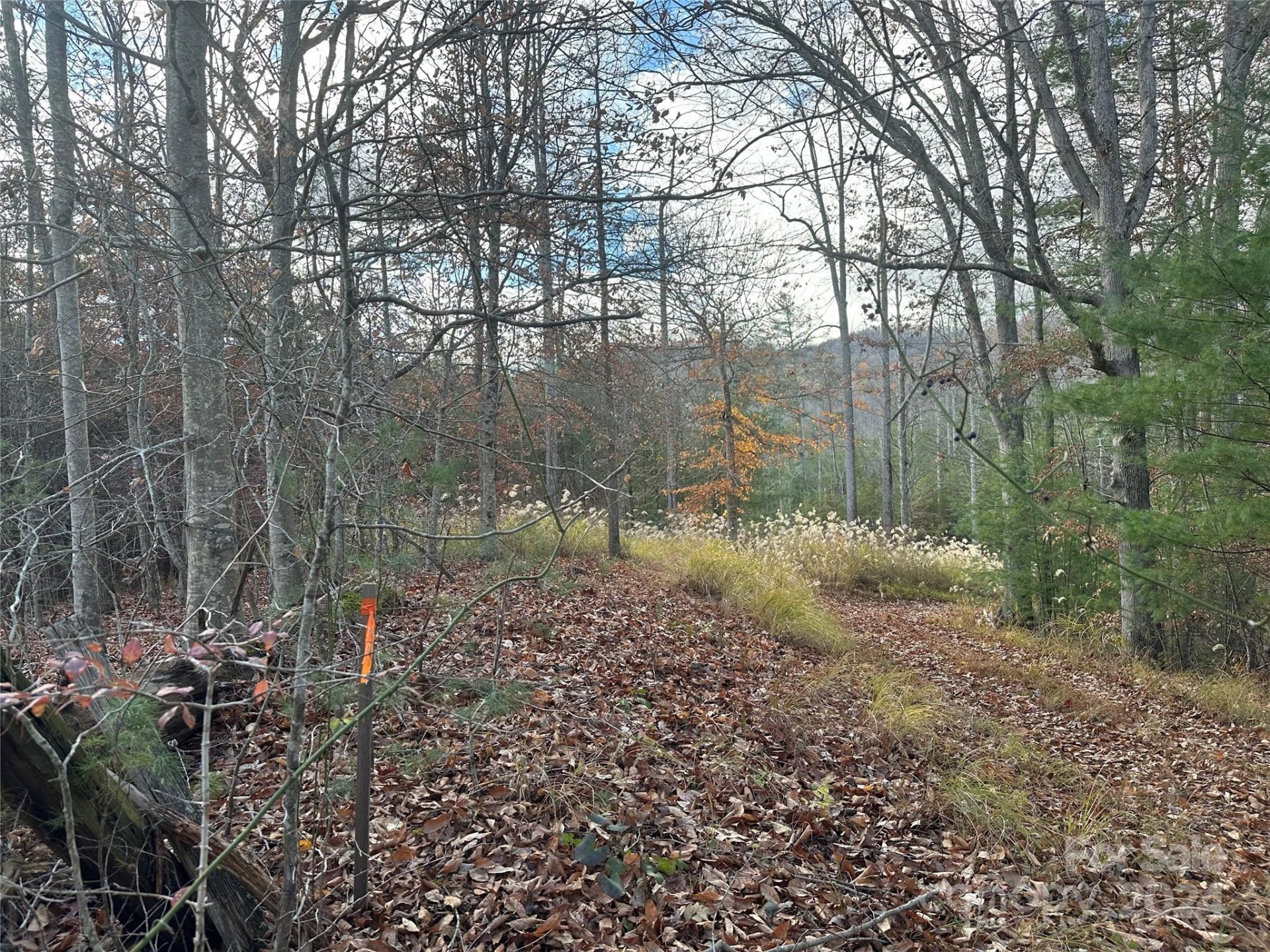 Property image 2 at 000 The Vines Boulevard, Marshall, NC 28753
