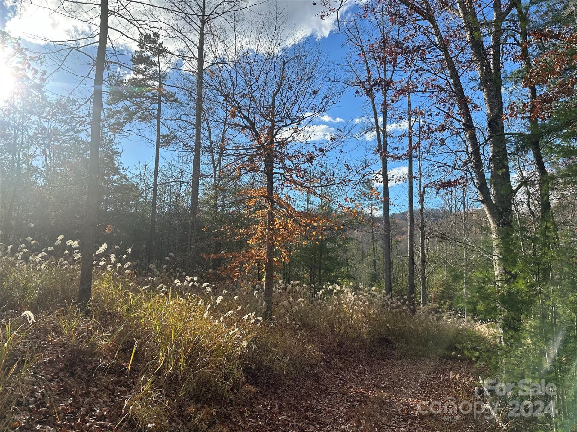 Property image 3 at 000 The Vines Boulevard, Marshall, NC 28753