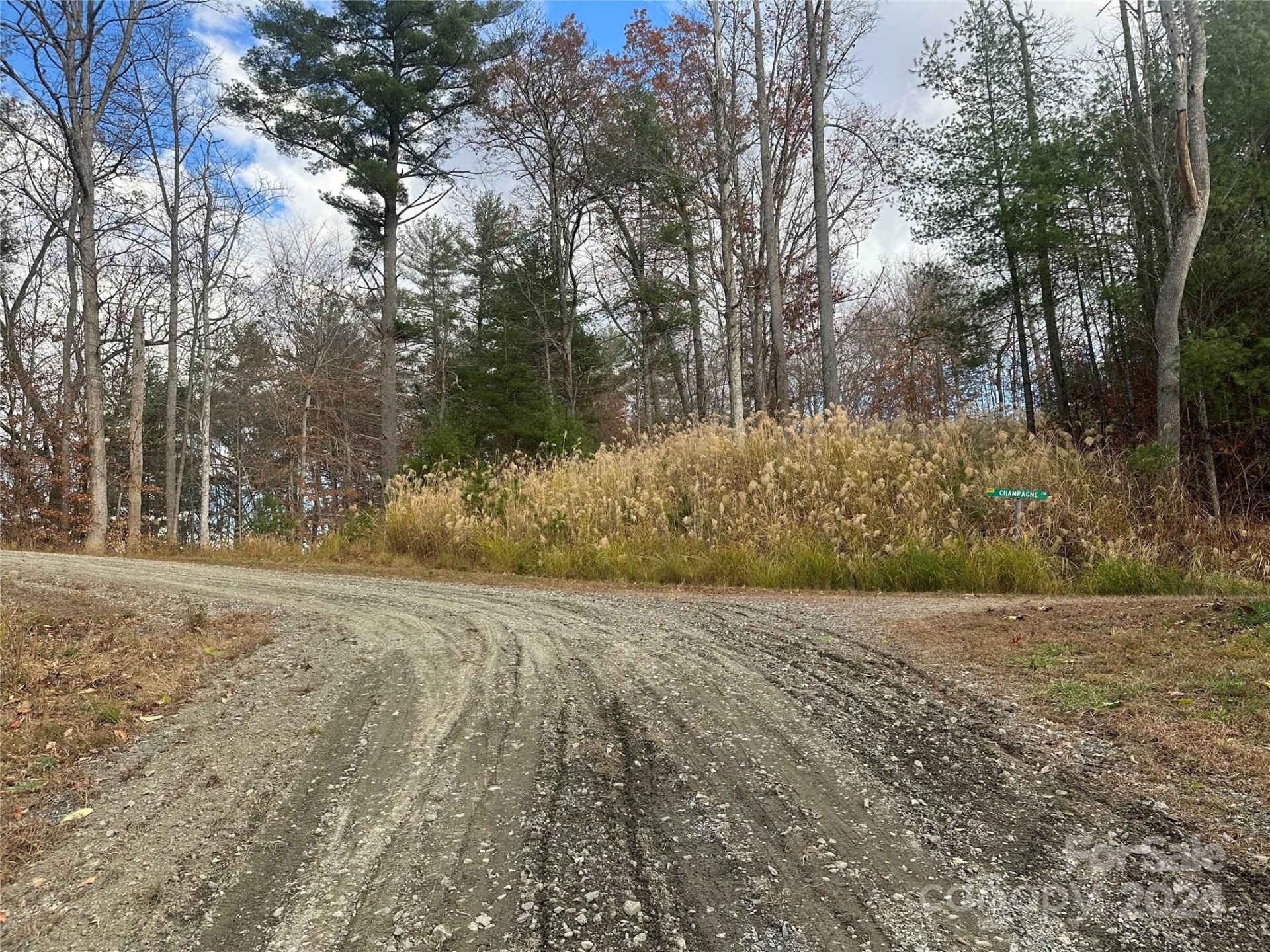 Property image 5 at 000 The Vines Boulevard, Marshall, NC 28753
