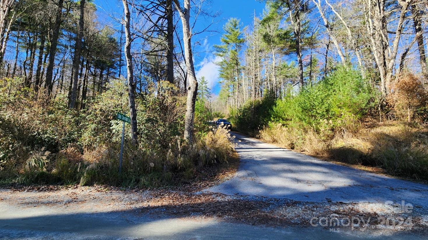 Property image 3 at 9999 Old Chestnut Lane, Hendersonville, NC 28792