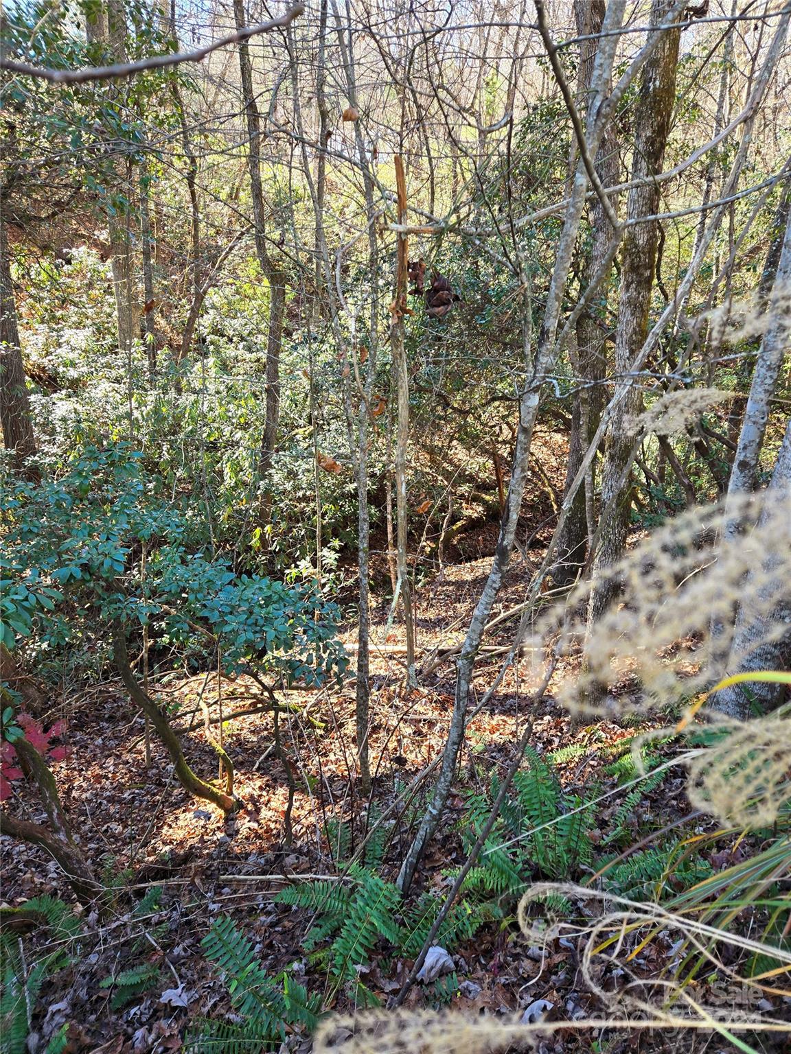 Property image 4 at 9999 Old Chestnut Lane, Hendersonville, NC 28792