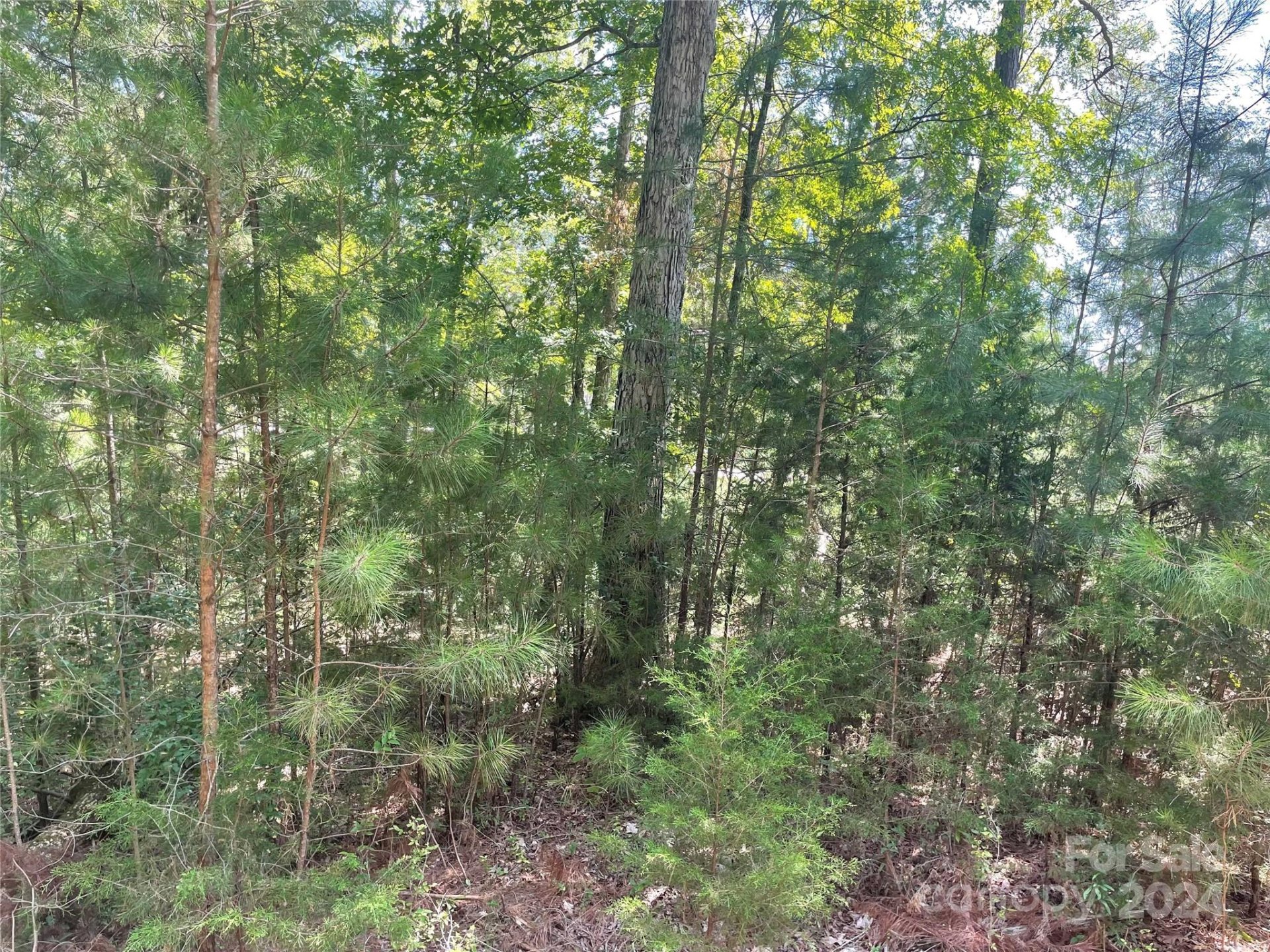 Property image 2 at 00 Pine Moss Lane, Clover, SC 29710