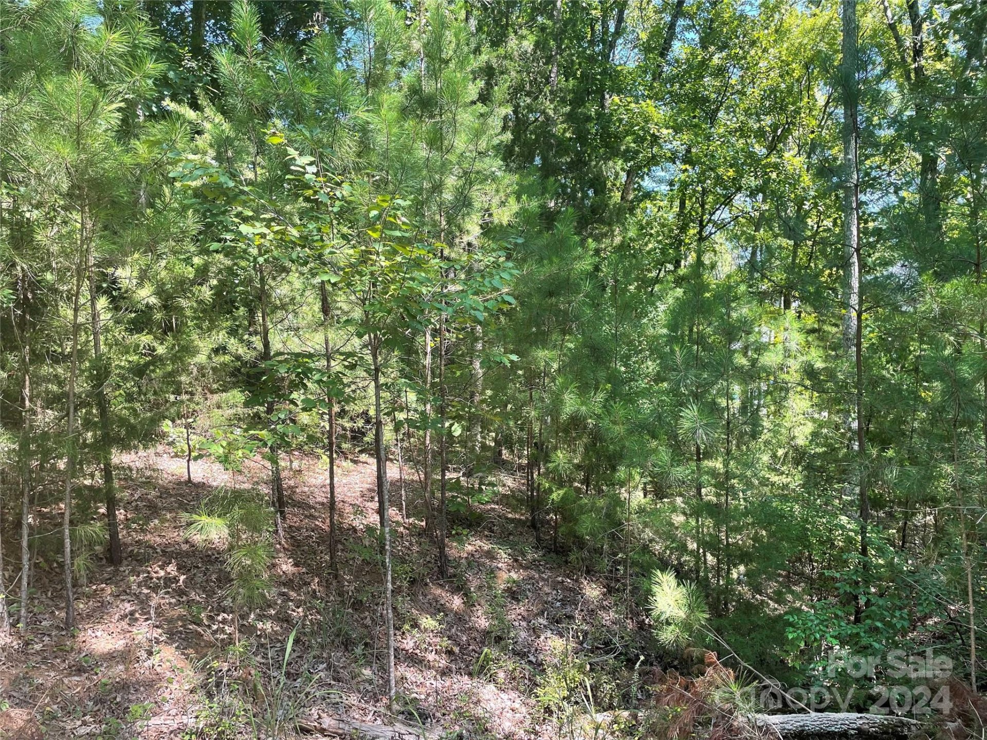 Property image 3 at 00 Pine Moss Lane, Clover, SC 29710