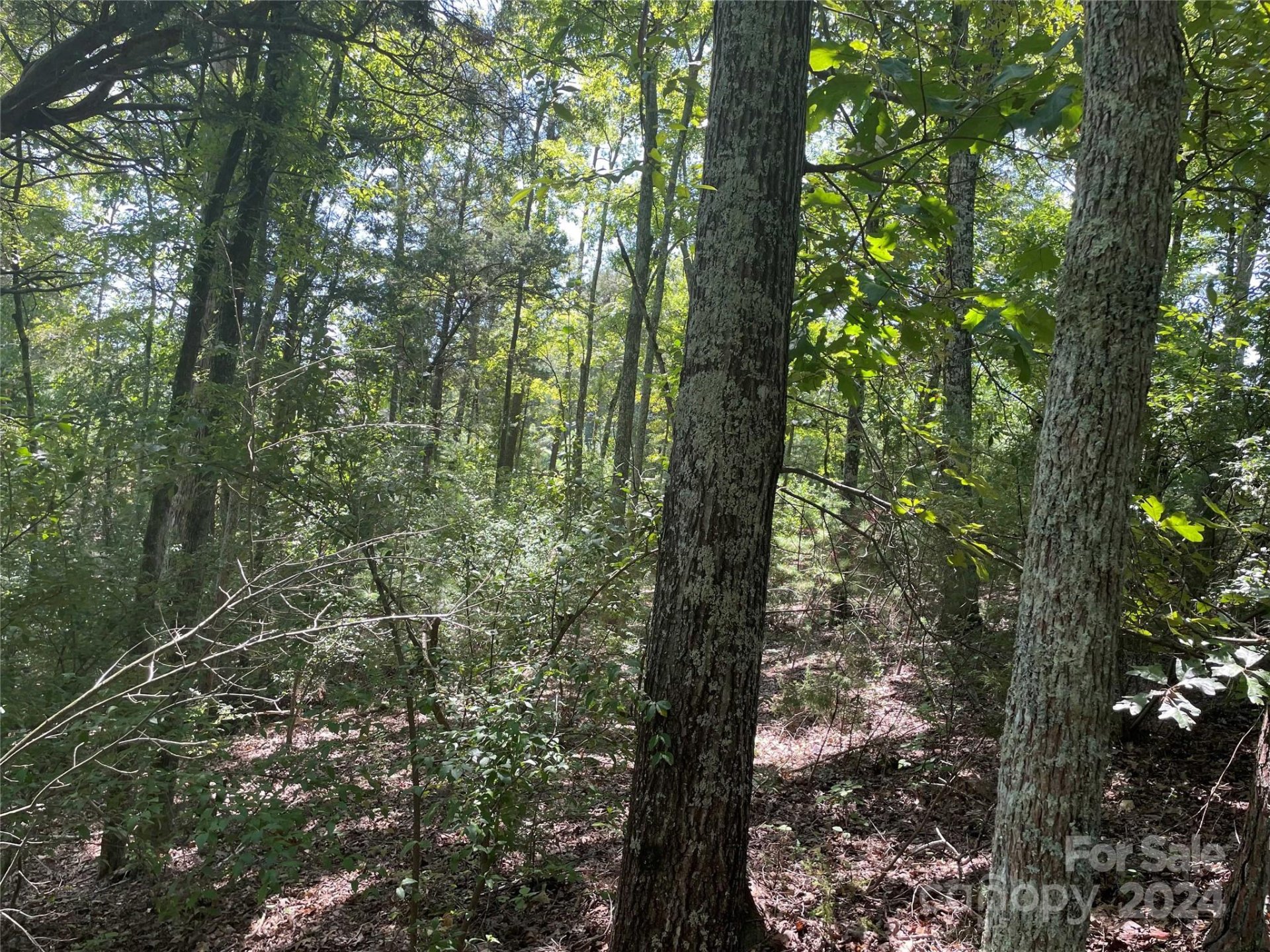 Property image 5 at 00 Pine Moss Lane, Clover, SC 29710