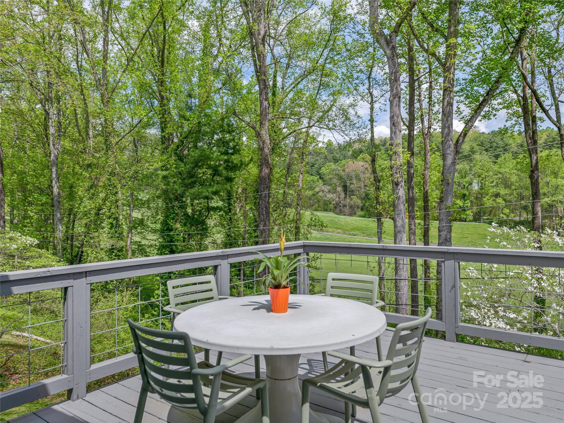 Property image 5 at 29 Robinhood Road, Asheville, NC 28804