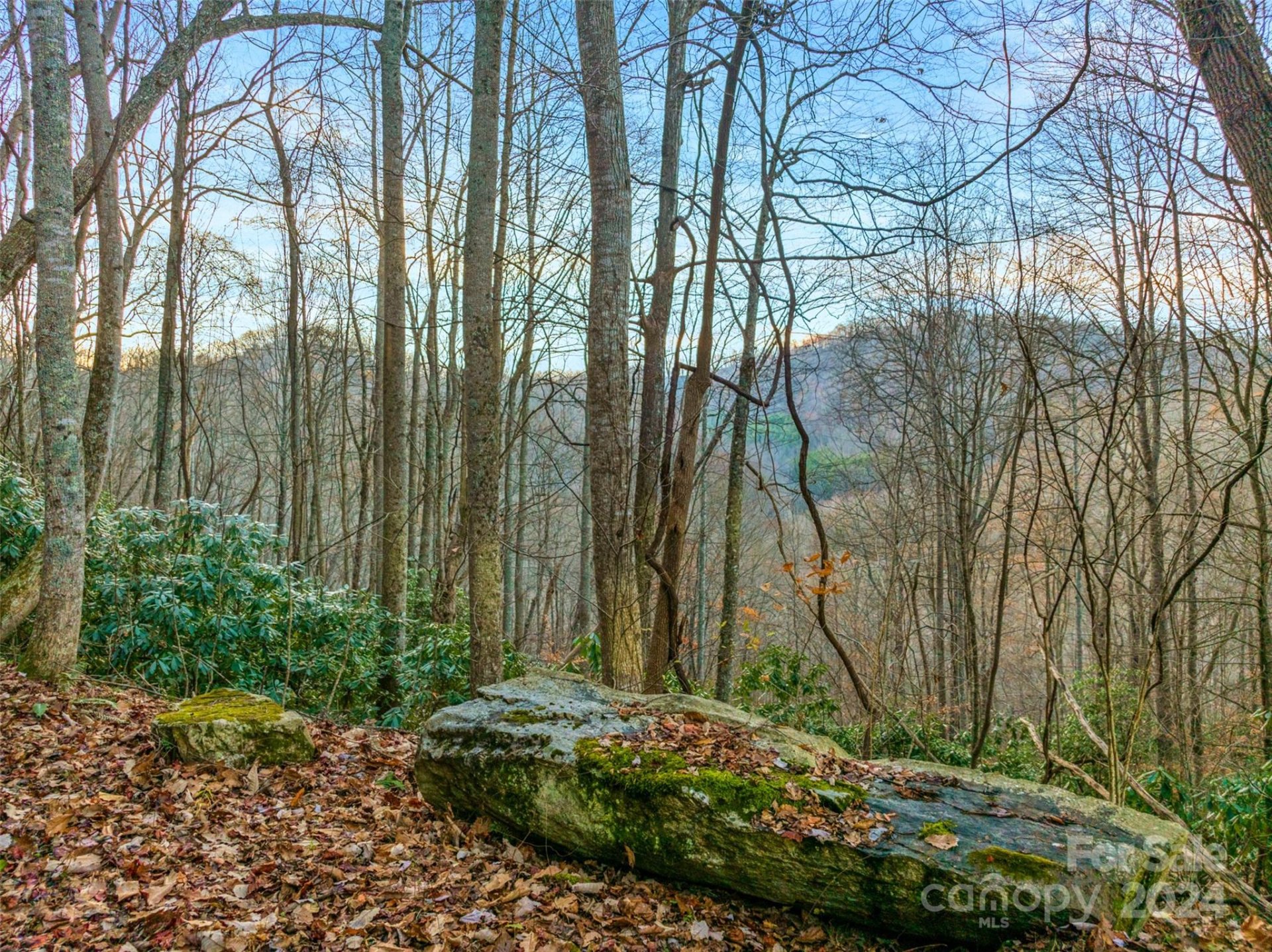 Property at 370 Cabin Creek Trail, Mars Hill, NC 28754